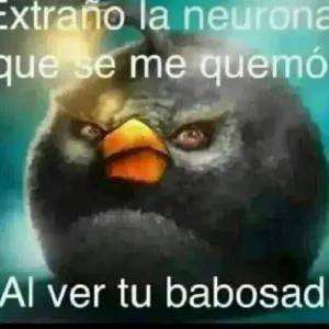 XVEa6R