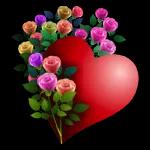 Good Hello Wednesday Morning