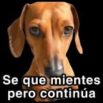 CAMATE POFAVO