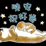 柴柴與貓咪 pack2