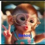 "STICKER ACTIVADO: 