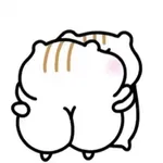 סטיקירוצ'קה 