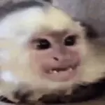 omi