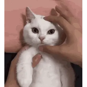 4yyr3b
