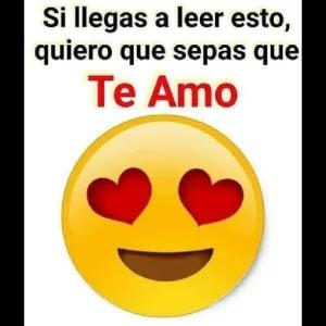 Si llegas a leer esto, quiero que sepas que Te Amo - getsticker.com