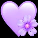 hola COMO AMANECISTE?