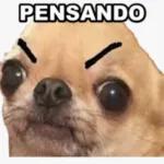 memes_de_perr...