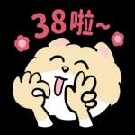 博美狗AB-不正经动起来