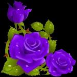 بسم الله عليك اما انته