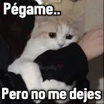 animales
