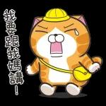 白爛貓11☆超級萌☆