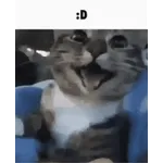 Alguien te dejó una carta:✉️