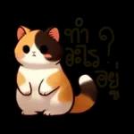 Happy Birthday
Precious
Birthday
Girl