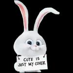 bunny rabbit