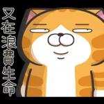 盡力而