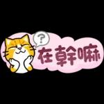 貓爪抓 -小小的你問我答抓-