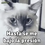 ¡Celebra el viernes!