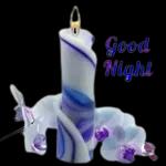 hope you have a peaceful evening⭐️🌙