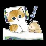 倉鼠 & 貓咪