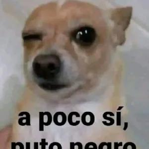 RWu7ZD
