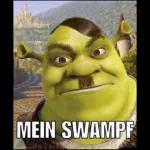 weird shrek memes