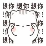 口袋空空