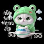 ข้าวต้ม ชุดกบ หน้าบูด