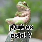 los stks