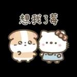 Hello Kitty 50週年 x 天竺鼠布丁 溫暖日常