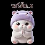 แมวฮิปโปสุดน่ารัก : คุยกันทุกวัน(BIG)