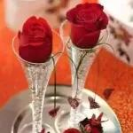 naseer