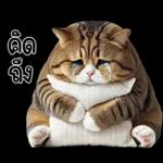 แมวถังแกสอ้วนตุ้บ 03