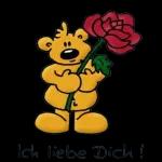 süßer Bär☺️☺️