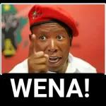 My fellow south Africans