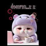 แมวฮิปโปสุดน่ารัก : คุยกันทุกวัน(BIG)