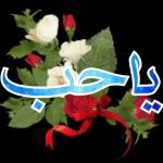 آمین و ایام
يا غاليه
