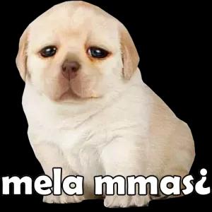 WDnpyu