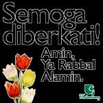 adik nur