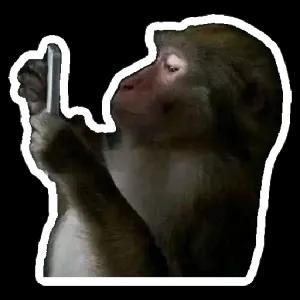 getsticker.com