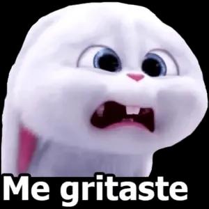 Me gritaste - getsticker.com