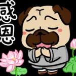 你的頭是不是被門夾到？！