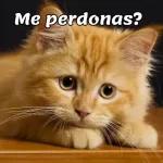 Oye eres el Amor de mi Vida, Te amo Corazón