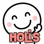HOLIS