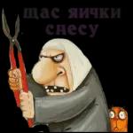 My Pack 2