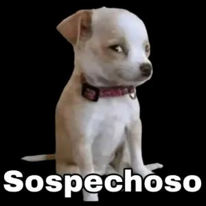 Sospechoso - getsticker.com