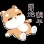 good  morning