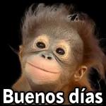 No picture today