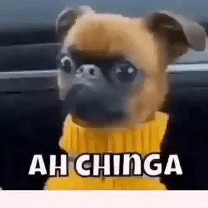 MWpVYr