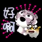 【生活好用貼】你管偶！先落跑的虎小屁！