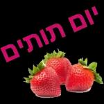 בוקר